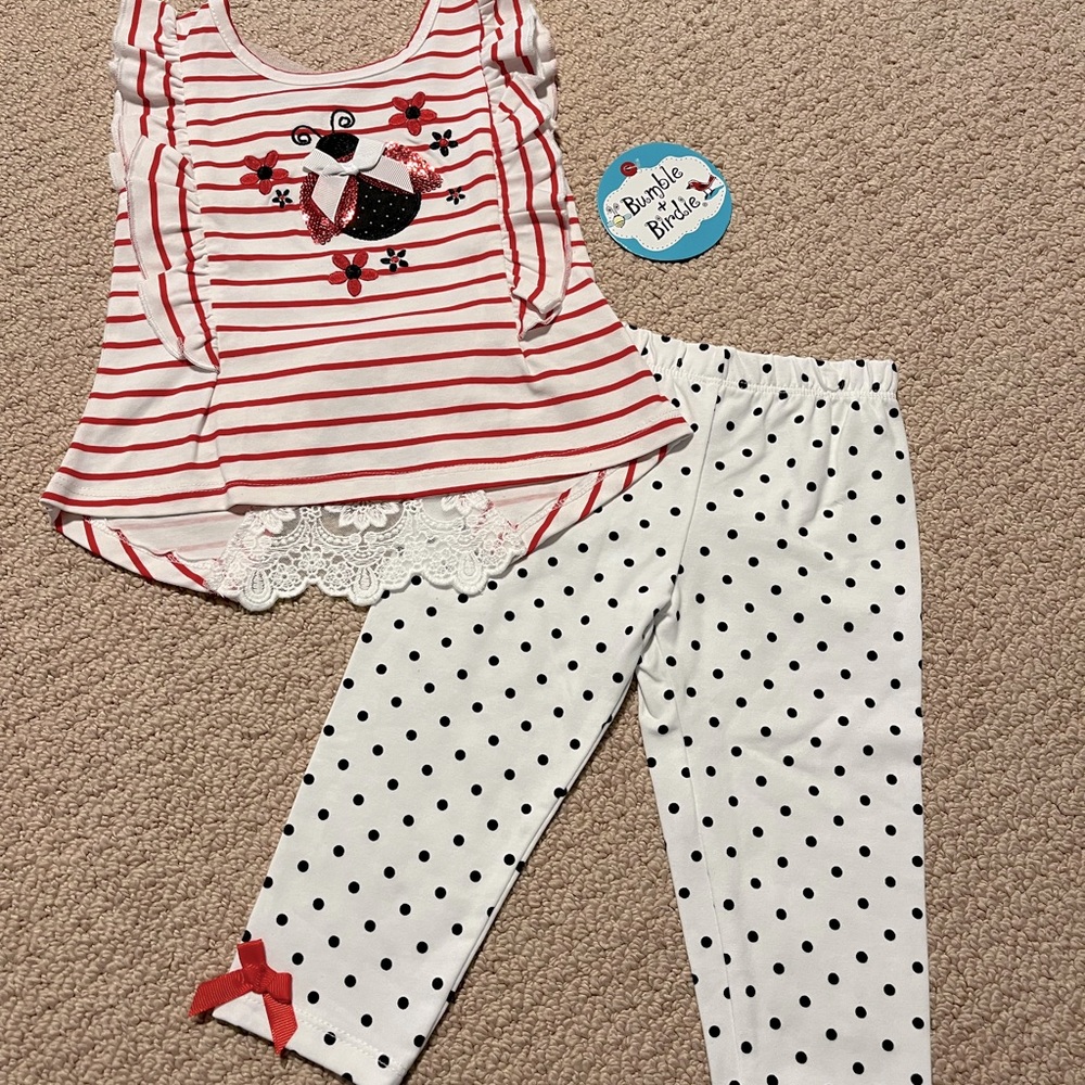 9-12 month ladybug outfit